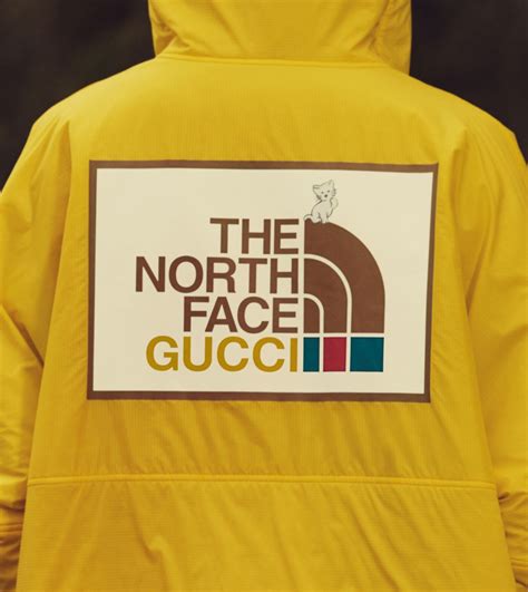 gucci x northfaxe|Gucci X north face tracksuit.